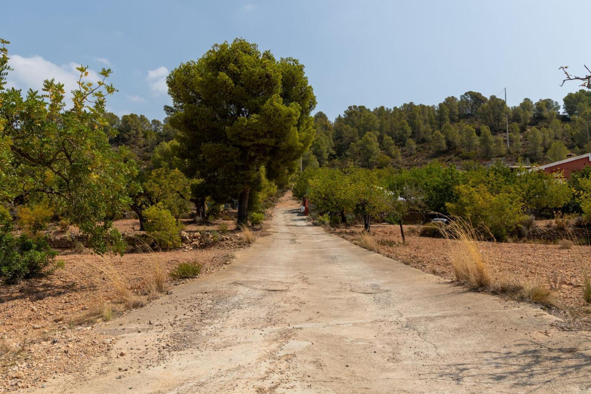 Finca El Escondite Olocau エクステリア 写真