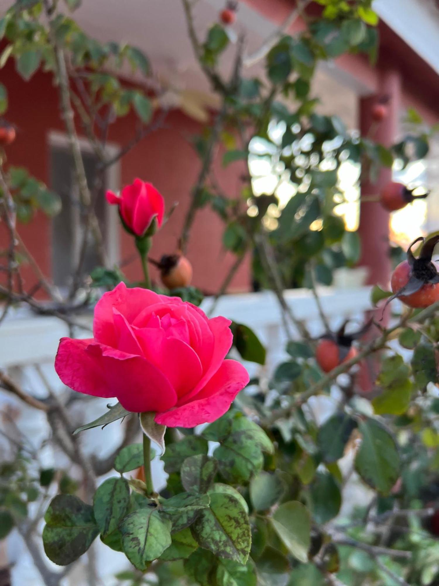 Finca El Escondite Olocau エクステリア 写真